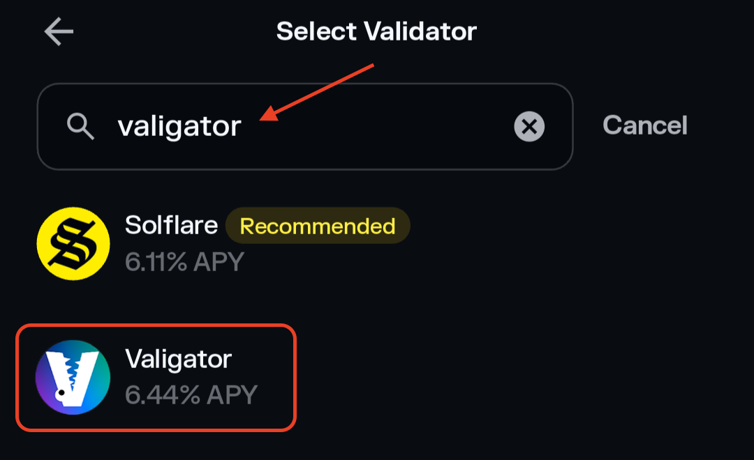 Solflare Search Valigator